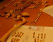 thumb-image-2024-02-29T14:03:54.711Z