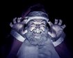 thumb-image-2024-02-29T14:03:55.156Z