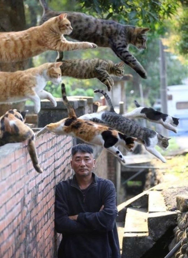 Homens rodeado por gatos