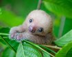 thumb-image-2024-02-29T14:03:55.474Z