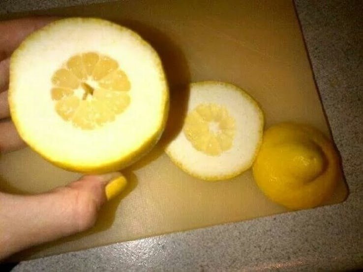 Limão sem recheio