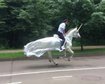 thumb-image-2024-02-29T14:03:55.697Z