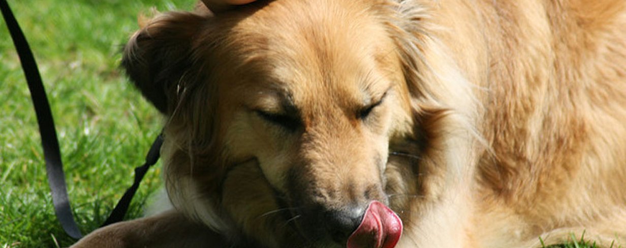 thumb-image-2024-02-29T14:03:56.054Z