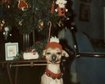 thumb-image-2024-02-29T14:03:56.400Z