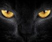 thumb-image-2024-02-29T14:03:56.594Z