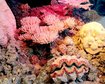 thumb-image-2024-02-29T14:03:56.654Z