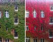 thumb-image-2024-02-29T14:03:57.370Z