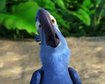 thumb-image-2024-02-29T14:03:57.306Z
