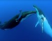 thumb-image-2024-02-29T14:03:57.827Z