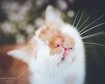 thumb-image-2024-02-29T14:03:57.777Z