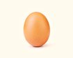 thumb-image-2024-02-29T14:03:58.020Z