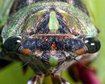 thumb-image-2024-02-29T14:03:58.461Z