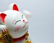 thumb-image-2024-02-29T14:03:59.825Z