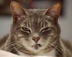 thumb-image-2024-02-29T14:03:59.886Z