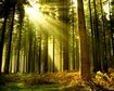 thumb-image-2024-02-29T14:04:00.648Z