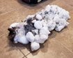 thumb-image-2024-02-29T14:04:00.852Z