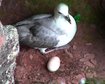 thumb-image-2024-02-29T14:04:01.560Z