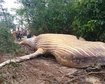 thumb-image-2024-02-29T14:04:01.791Z