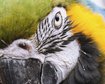 thumb-image-2024-02-29T14:04:02.034Z
