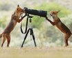 thumb-image-2024-02-29T14:04:02.023Z