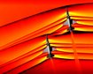 thumb-image-2024-02-29T14:04:02.549Z