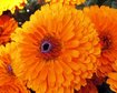 thumb-image-2024-02-29T14:04:02.720Z
