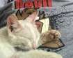 thumb-image-2024-02-29T14:04:02.863Z