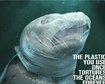 thumb-image-2024-02-29T14:04:03.347Z