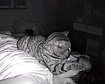 thumb-image-2024-02-29T14:04:03.922Z