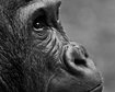 thumb-image-2024-02-29T14:04:04.819Z