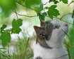 thumb-image-2024-02-29T14:04:05.742Z