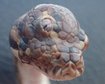 thumb-image-2024-02-29T14:04:05.787Z