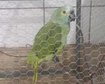 thumb-image-2024-02-29T14:04:06.165Z