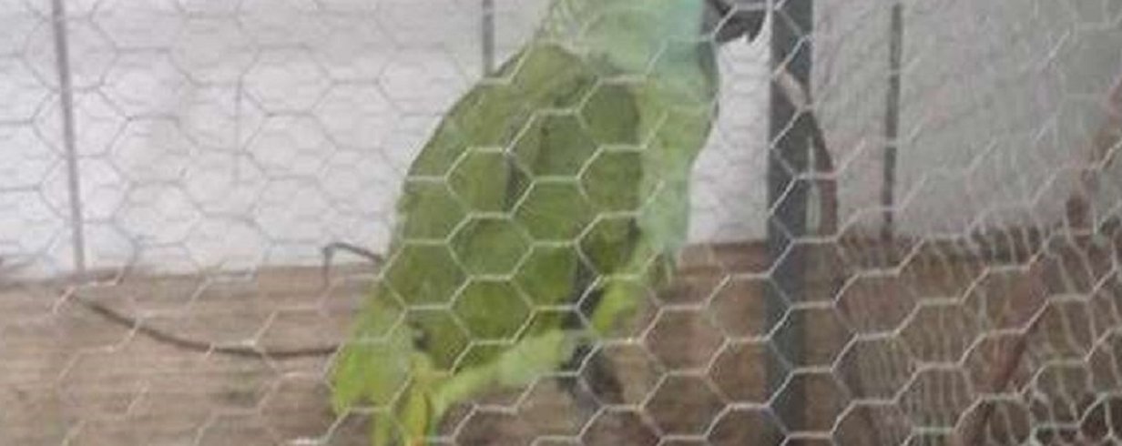 thumb-image-2024-02-29T14:04:06.165Z