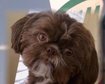 thumb-image-2024-02-29T14:04:07.004Z