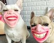 thumb-image-2024-02-29T14:04:07.698Z