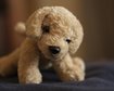 thumb-image-2024-02-29T14:04:08.253Z