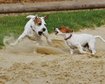 thumb-image-2024-02-29T14:04:08.296Z