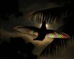 thumb-image-2024-02-29T14:04:08.503Z