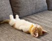 thumb-image-2024-02-29T14:04:08.553Z