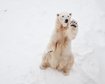 thumb-image-2024-02-29T14:04:09.067Z
