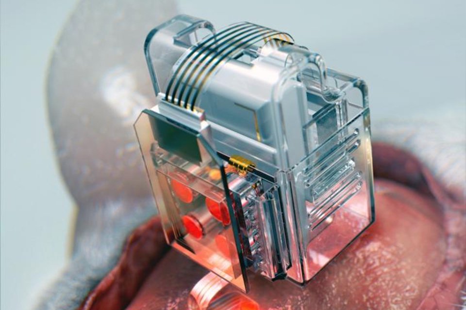 Imagem de Cientistas conseguem controlar células cerebrais por smartphone no megacurioso
