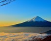thumb-image-2024-02-29T14:04:09.397Z