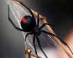 thumb-image-2024-02-29T14:04:09.480Z