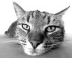 thumb-image-2024-02-29T14:04:09.826Z