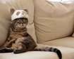 thumb-image-2024-02-29T14:04:10.104Z