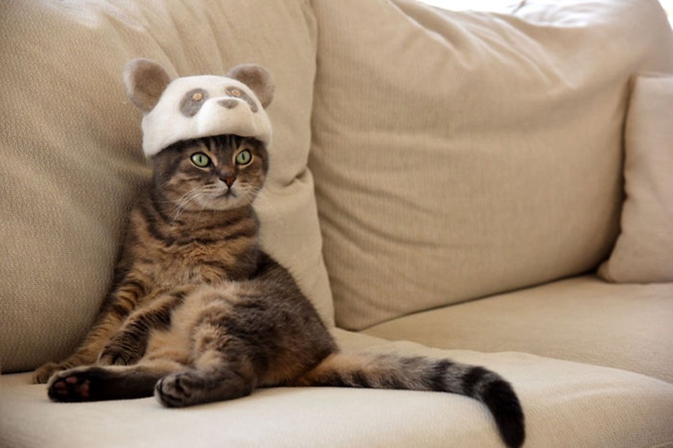 Imagem de 10 chapéus para gatos feitos com... pelo de gato! no megacurioso