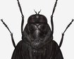 thumb-image-2024-02-29T14:04:10.062Z