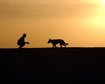 thumb-image-2024-02-29T14:04:10.209Z