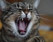 thumb-image-2024-02-29T14:04:10.575Z